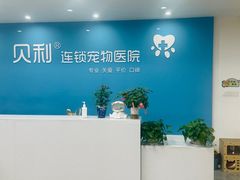 -贝利宠物医院·骨科·眼科·肿瘤转诊中心(南坪诊疗中心)