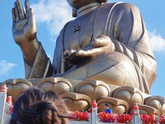 -龙口南山旅游景区