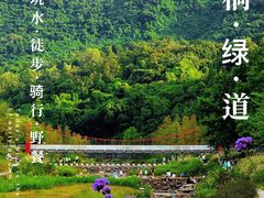 -梧桐山风景名胜区