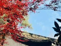 -宋宴(虎跑店)