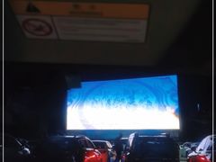 -枫花园汽车电影院(朝阳公园店)