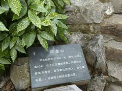 -汇龙潭