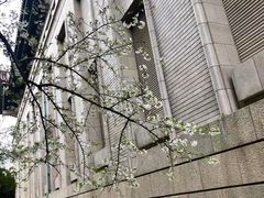 -东京国立博物馆