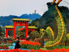 -南山植物园