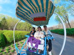 -永定河休闲森林公园