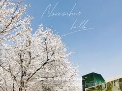-龙美术馆(西岸馆)