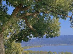 -东钱湖旅游度假区