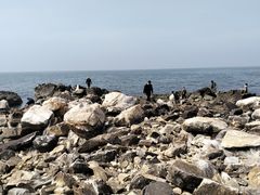 -养马岛旅游度假区