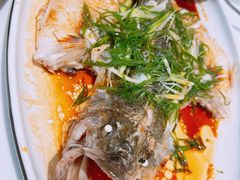 清蒸鲈鱼-至潮餐厅精致粤菜·活鲈鱼·走地鸡(珠江新城店)