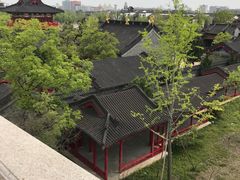 -广富林郊野公园