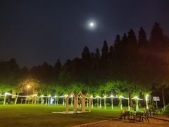 -太阳岛度假酒店