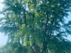 -北京石刻艺术博物馆(五塔寺)