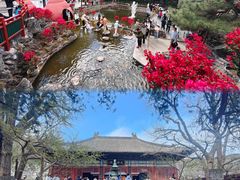 -红螺寺