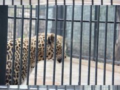 -广东茂名森林公园