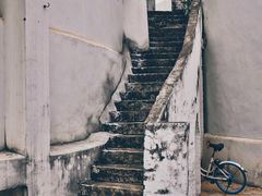 -细村农贸综合市场