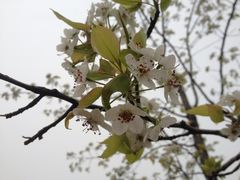 -济南植物园