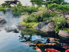 -罗红摄影艺术馆