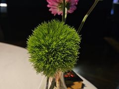 -芙蓉堂(武汉天地店)