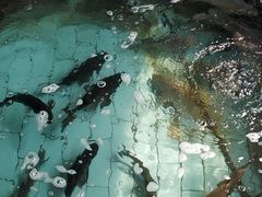 -贤鲁岛贤溪农庄