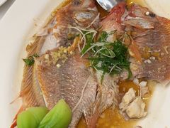 -新兴家喻酒家·羊城名宴(昌岗店)