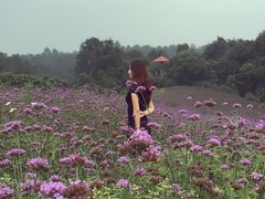 -保利石象湖景区