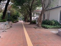 -九龙公园