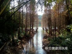 -广州市白云山风景名胜区