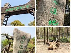 -溱湖国家湿地公园