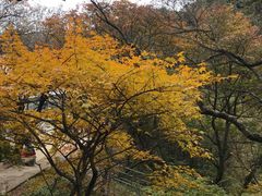 -尧山风景区