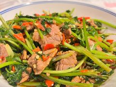 香菜炒牛肉-壹盏灯(华远店)
