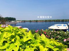 -白洋淀景区