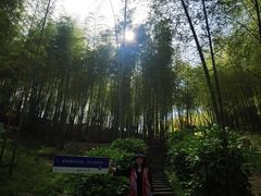 -宁波浙东大竹海景区
