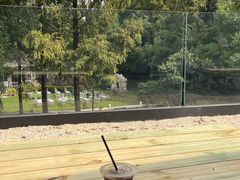 -J Create城市露营咖啡·简餐·宠物(上海动物园店)