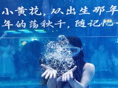 -重庆欢乐海底世界
