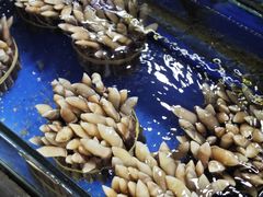 -大东海海鲜酒楼(渔人码头总店)