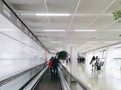 -郑州新郑国际机场-T2航站楼