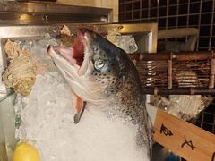 -盛宴自助餐厅(运达喜来登店)