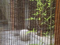 月溪香林-月溪香林