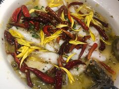 -新太二·鲜料川菜(群光广场店)