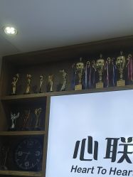 -心联形象设计·流星染