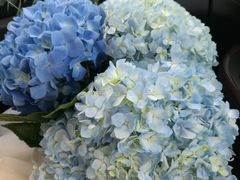 -三圣花乡旅游区