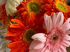 -邓婆婆手工冰粉铺(中港·燊海森林店)