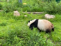 -沈阳森林动物园