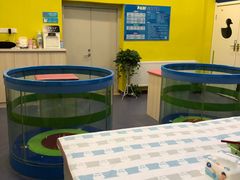 -魔力熊儿童早教托育中心(硚口同馨店)