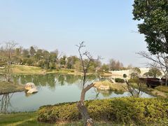 -牛首山文化旅游区