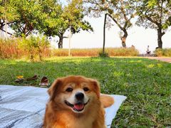 -南沙蒲洲花园