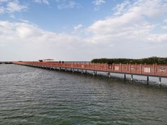 -乌梁素海景区