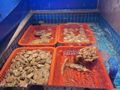 -鸽子侯·家宴·平价海鲜(市图书馆店)