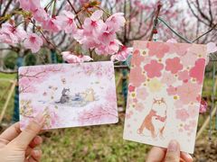 -梁鸿国家湿地公园