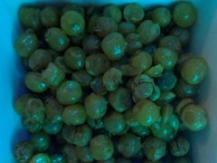 -潮歌KTV(长江北路店)